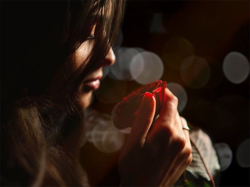 роза Запах розыphoto preview