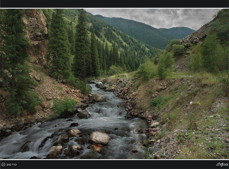 природа, горы, река, джайляу Из Тургеньского  ущелья на плато Ассы.photo preview