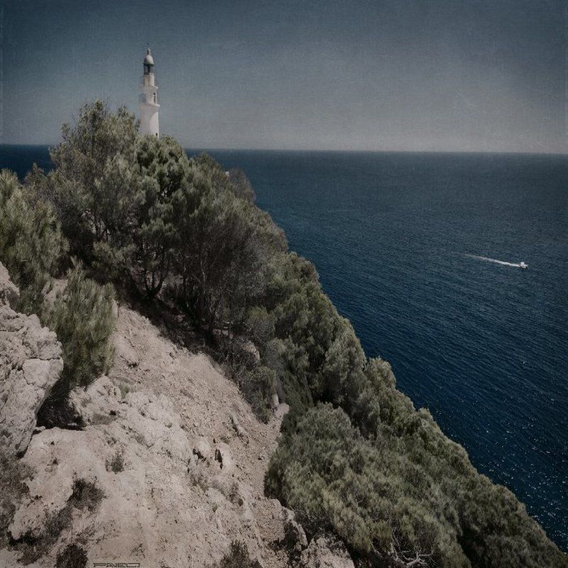 alone .photo preview