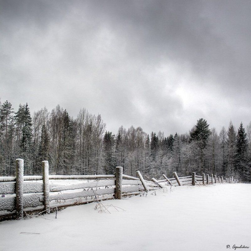 снег, изгородь, лес, тучи |=|==|=\\=\\=|=photo preview