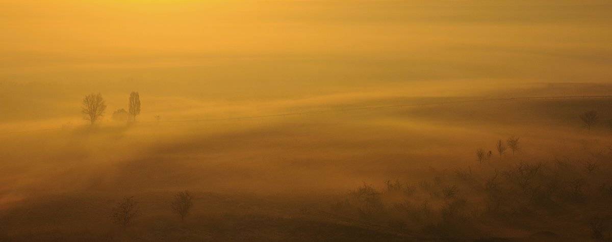 , Дeнис Бoдрoв