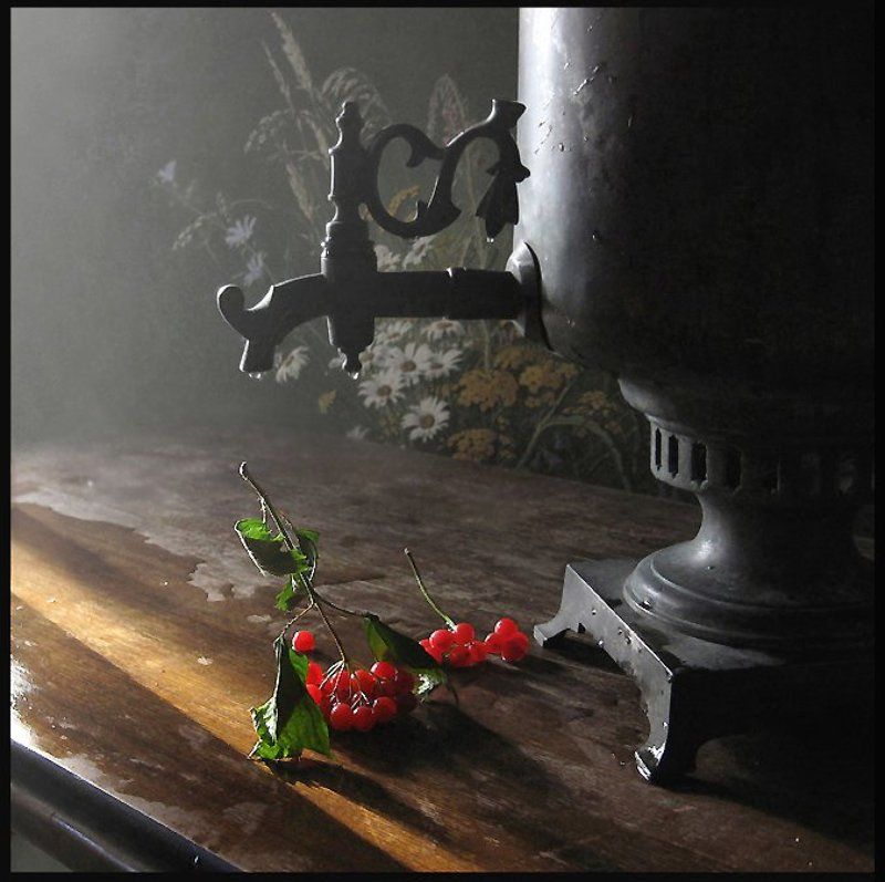 калинаphoto preview