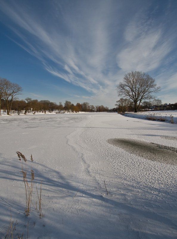 минск, лошицкий парк, зима, мороз, лёд, снег, свислоч, дерево, небо вид на паркphoto preview