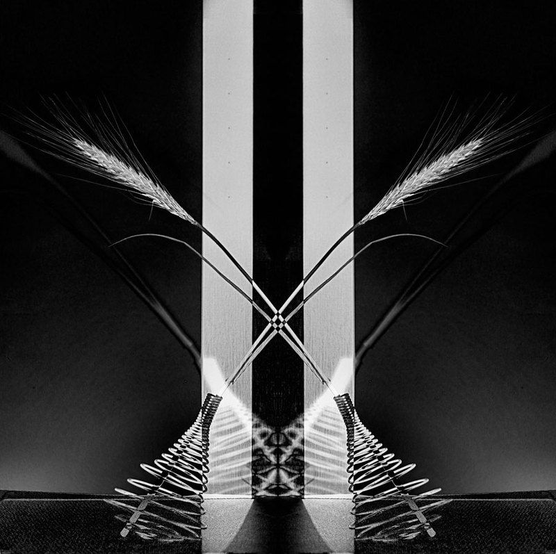 колосок, пружынка, пружынистое соотношениеphoto preview