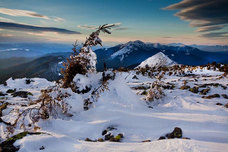 торбя`к горганыphoto preview