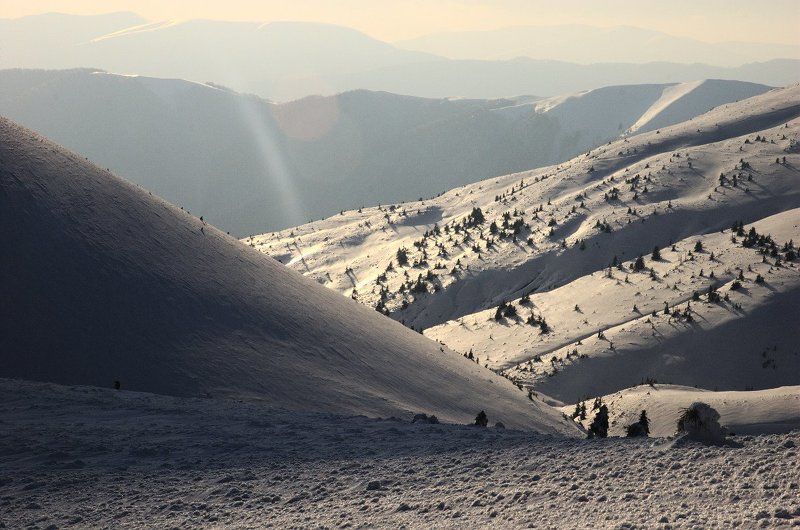 вечерние Карпатыphoto preview