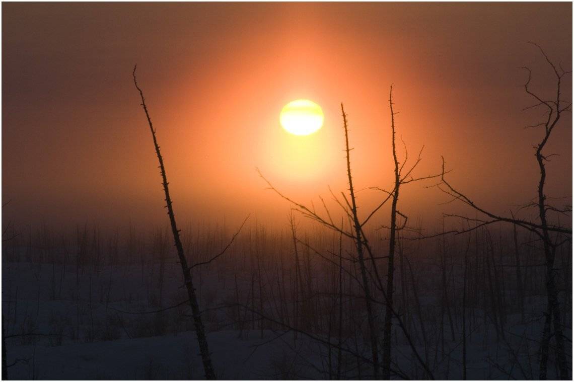 таймыр, Vladimir