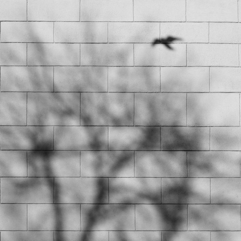 петардыphoto preview