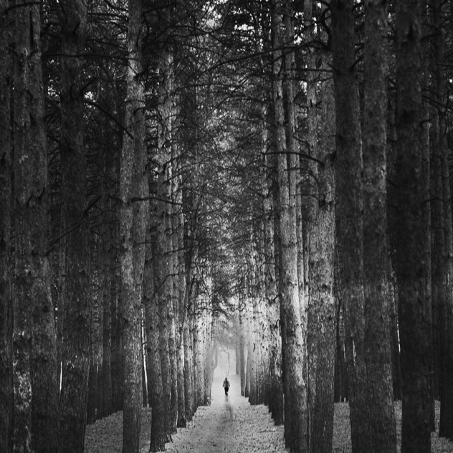 , Артур Сарибекян