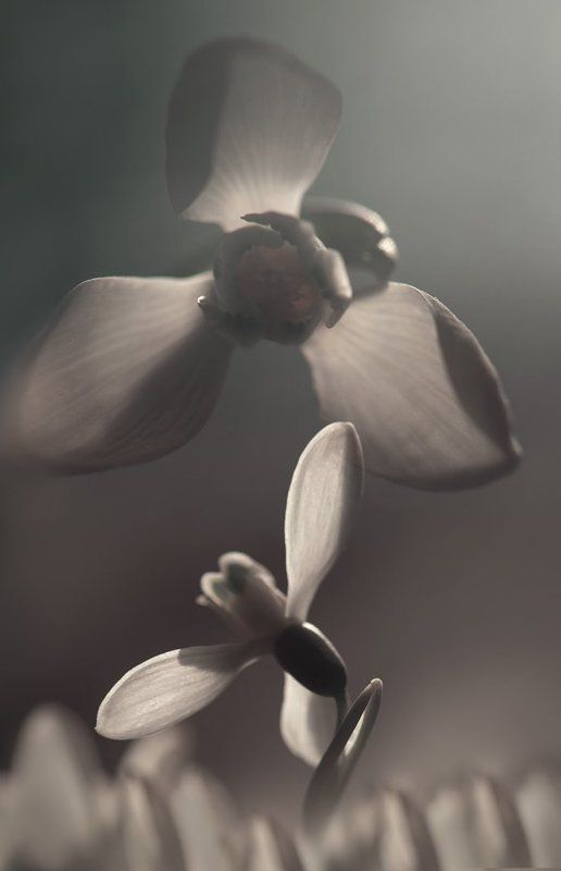 Возьми мое сердце, открой свою душу!..photo preview