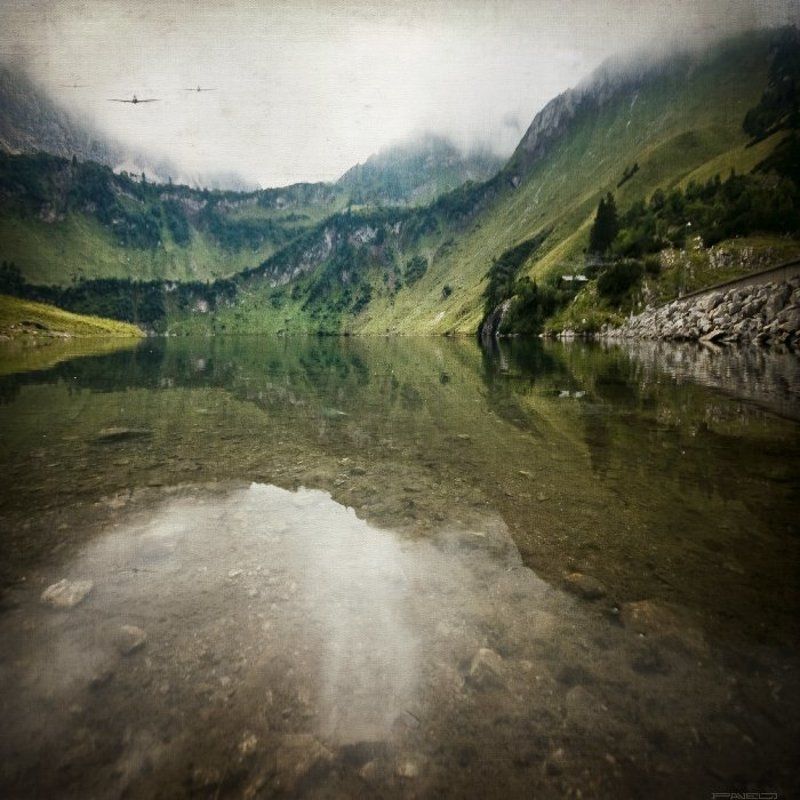 alone .photo preview