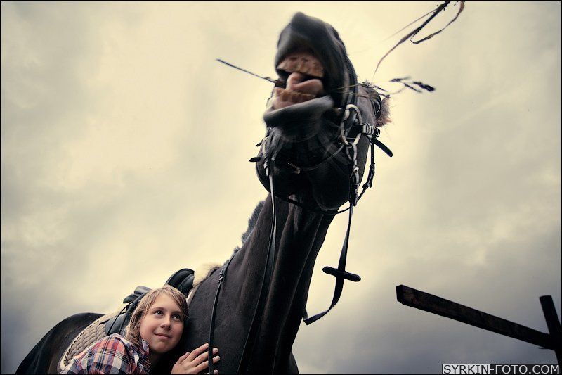 конь Дружба начинается с  улыбки!photo preview