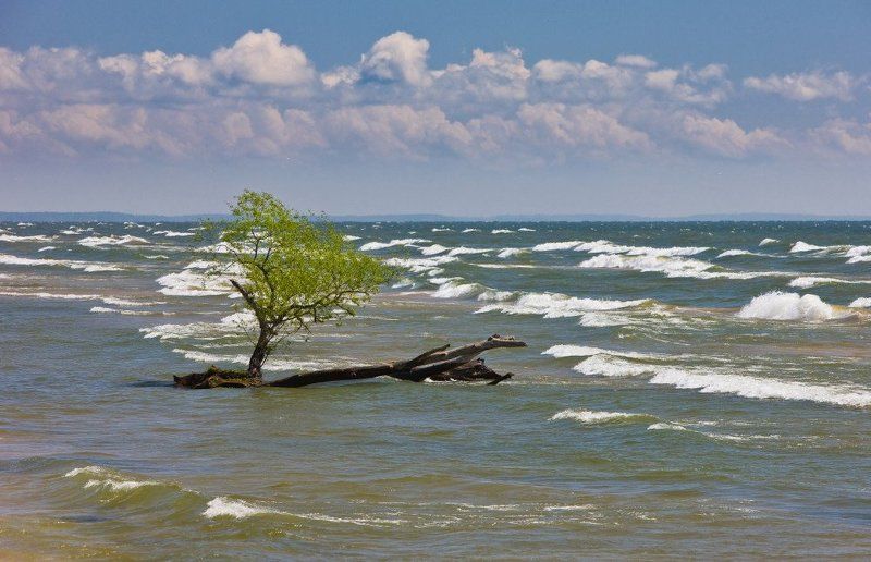 Жизньphoto preview