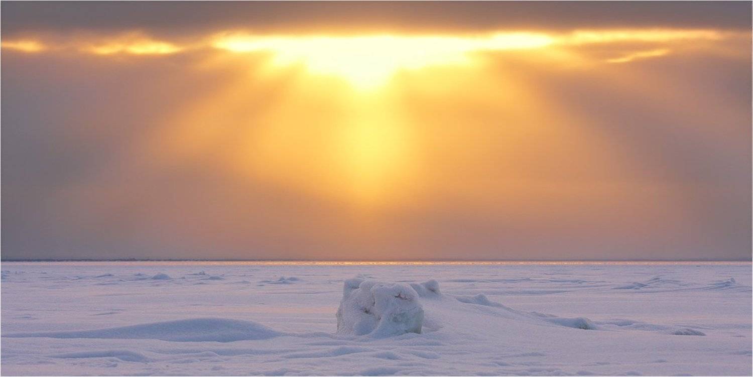 , Илья Бармин