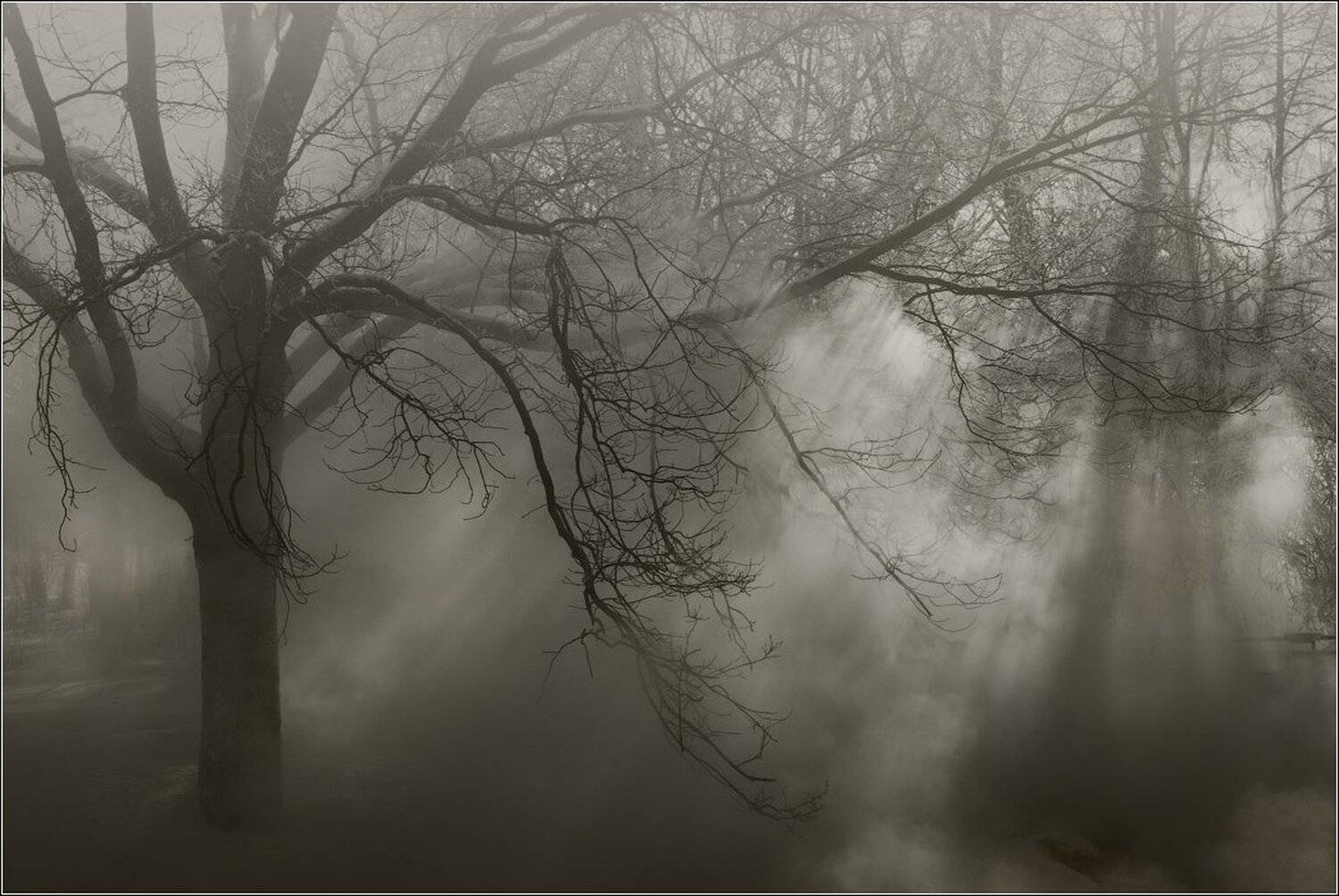 ***. Автор: O.M. , O.M.