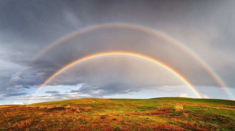 киргизия в полях Киргизии после дождяphoto preview