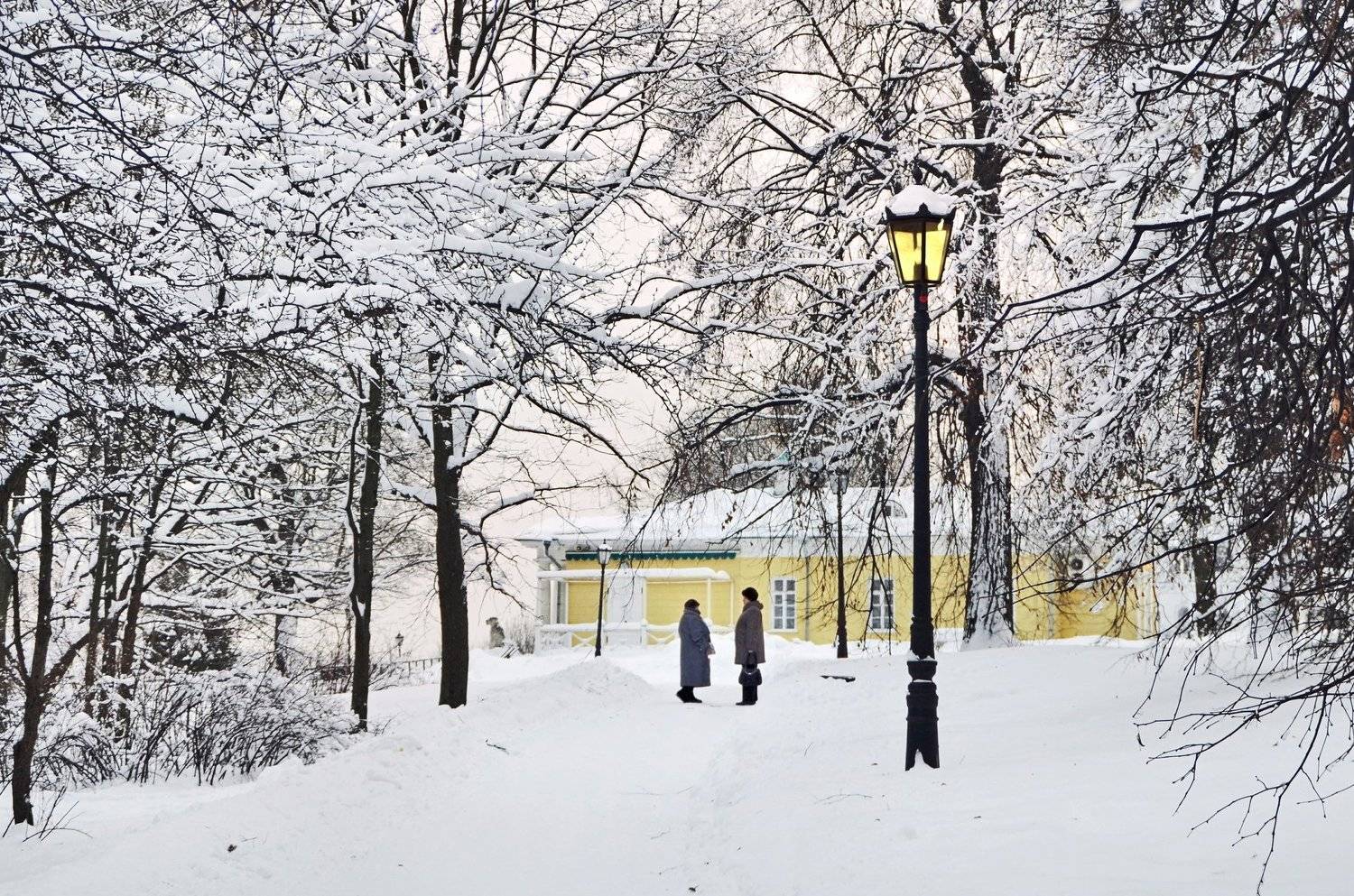 ***. Автор: Anna Saltykowa , Anna Saltykowa