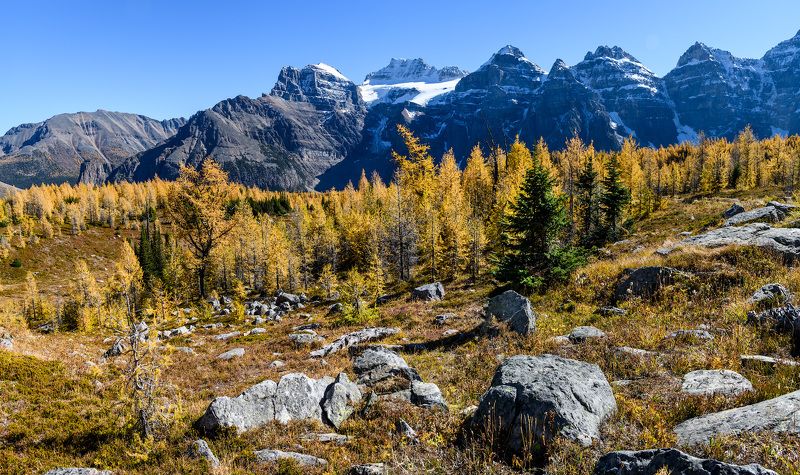 Канада, Скалистые горы, Банф, осень Осень в горахphoto preview