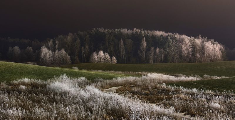 night, meadow, hoarfrost, landscape, winter, poland \