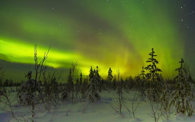 север,ночь,природа,северное сияние,зима,краски,печора,коми,north,night,nature,northern lights,winter,paint,pechora,komi republic Краски севера фото превью