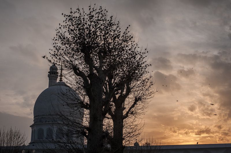 Осеньphoto preview