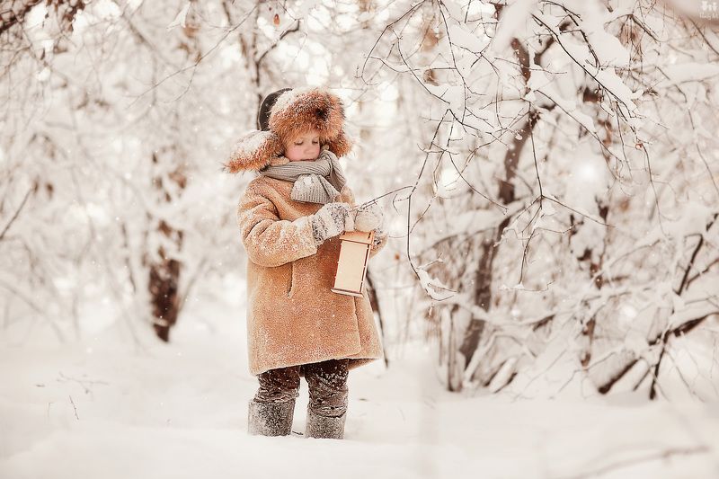 Зимаphoto preview