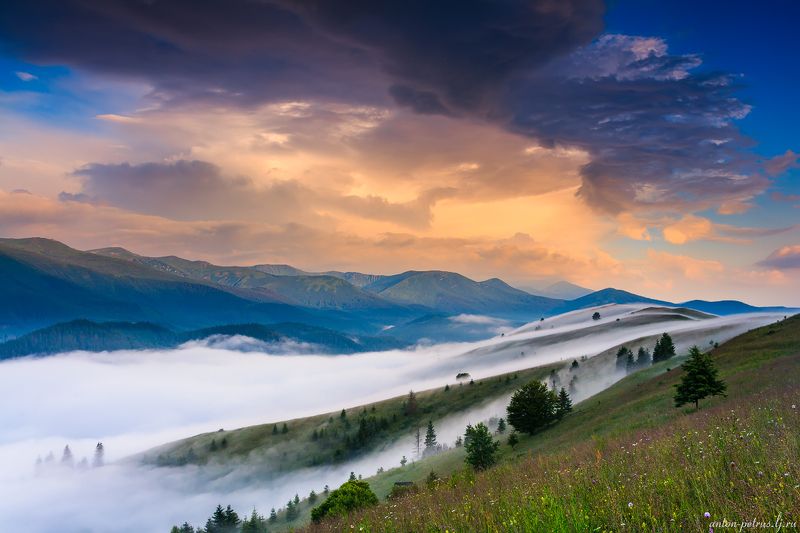 рассвет, туман, карпаты, горы, лето Нитиphoto preview