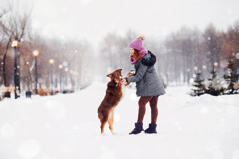 Лиза  и Гаммиphoto preview