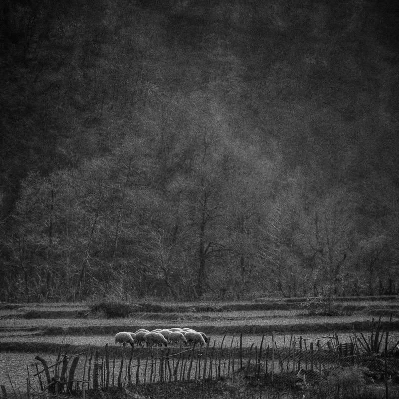 #hosseinmehrzad #myfeatureshoot #friendsinperson #حسین_مهرزاد #theweekoninstagram #everybodystreet #everydayeverywhere #persianlikes #hartcollective #reportagespotlight #uspiran #lensculturetalent #heatercentral #phroommagazine #friendsinperson #streetpho unknownphoto preview