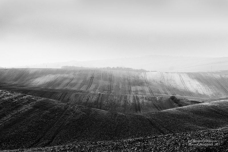 zamglony, morawski kwartetphoto preview