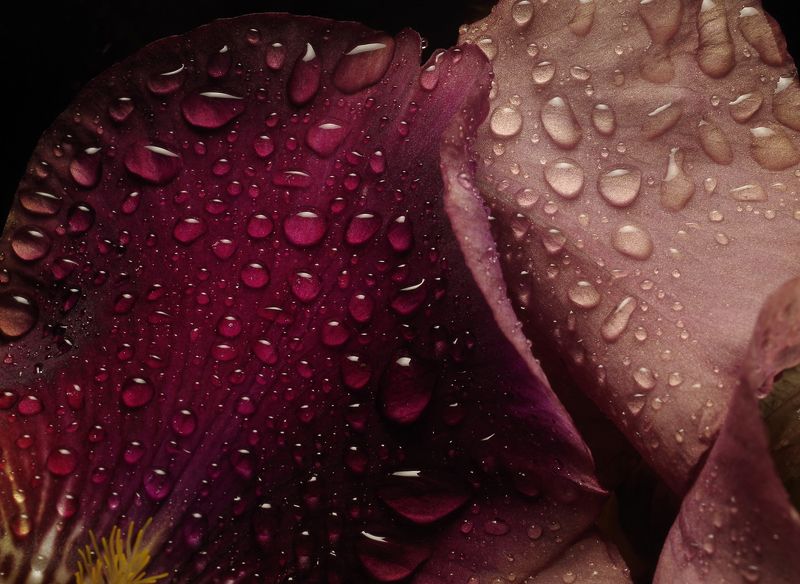 Фактуры (серия)photo preview