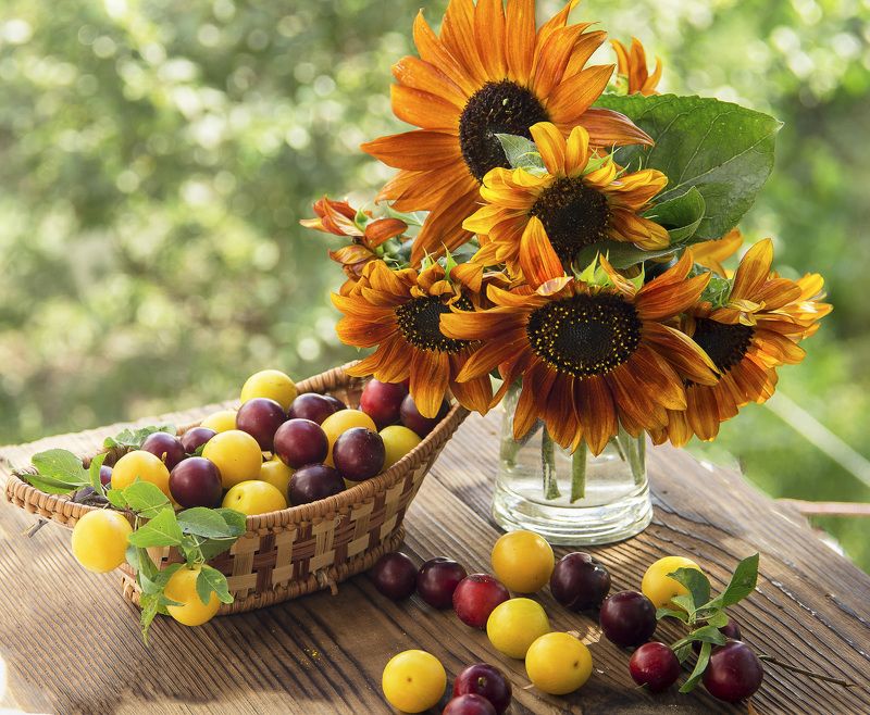 Лето.photo preview