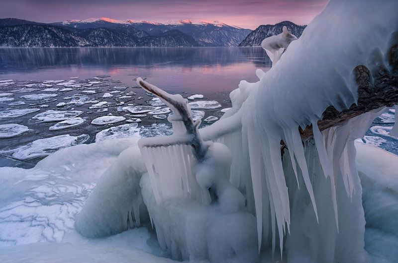 алтай, сибирь, телецкое озеро, алтайский заповедник, лёд, зима Замерзший мирphoto preview