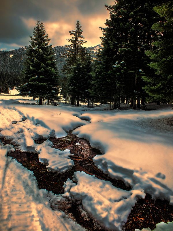 Из горитеphoto preview