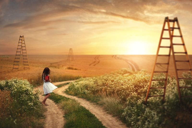 The borderphoto preview