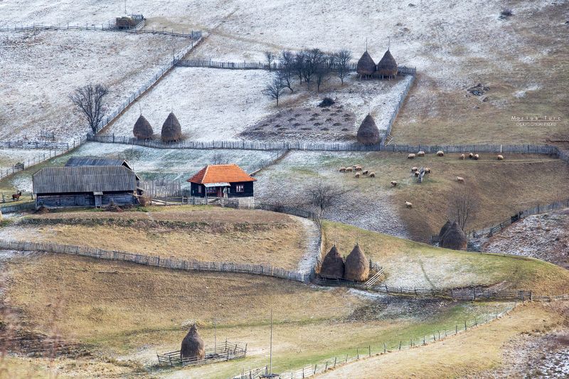 nature,between,landscape,hills,apuseni, Silencephoto preview