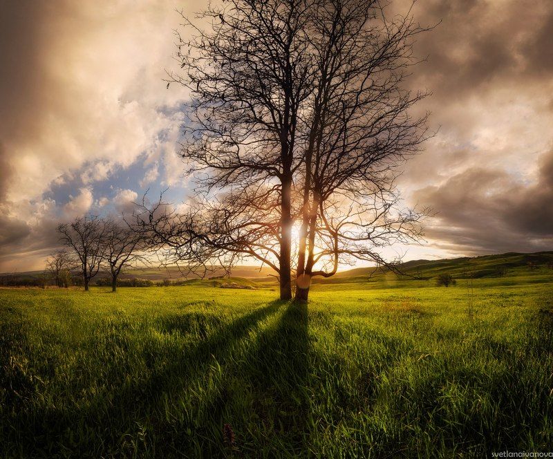 Я слышу аромат дождя…photo preview