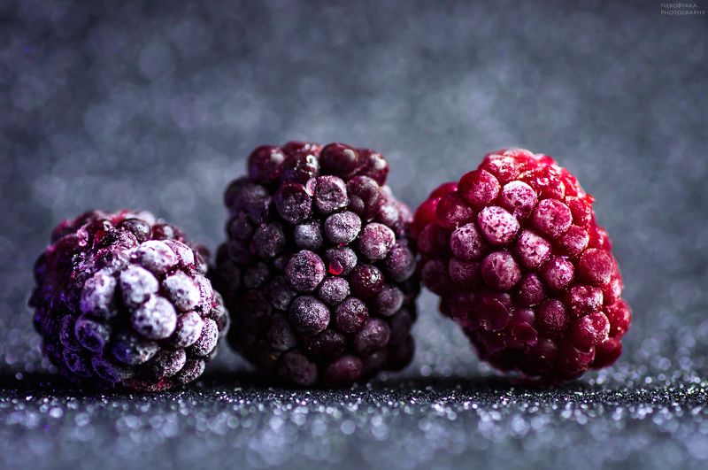 макро, ягоды, лед, иней, зима, вишня, ежевика,macro, berries, ice, frost, winter, cherry, blackberries Иней и ледphoto preview