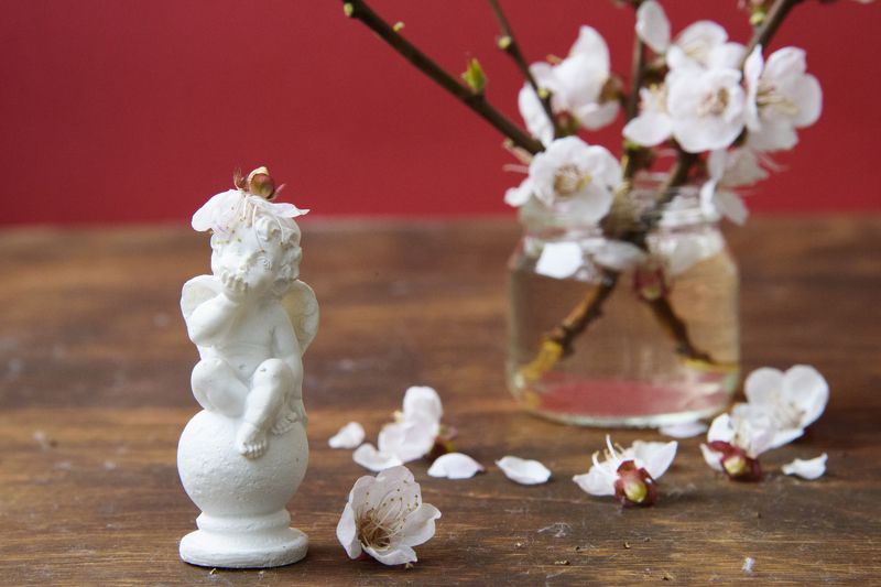 весна, цветы, ангел, любовь, нежность, цветущая вишня, белые цветы Веснаphoto preview