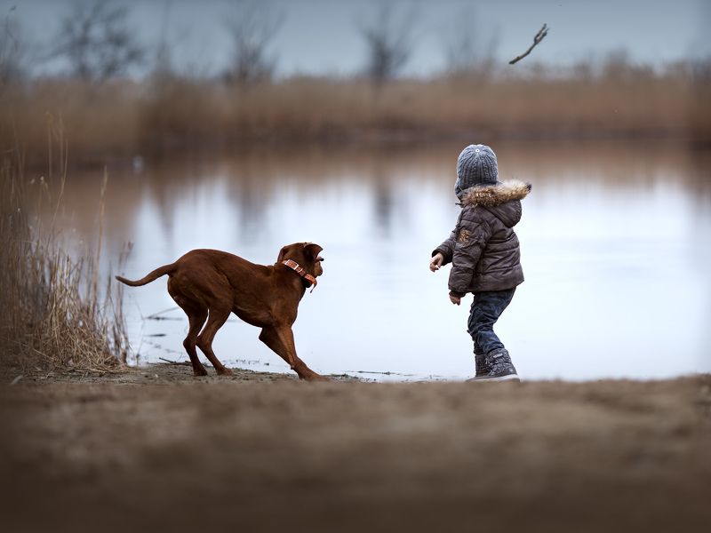 фото превью