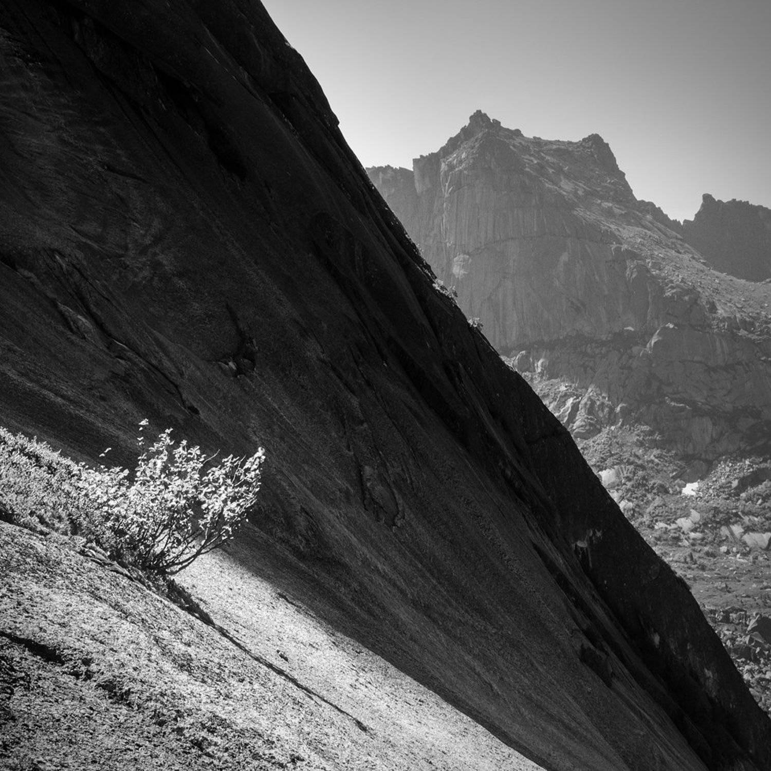 чб, черно-белое, черный, белый, ергаки, красноярский край, природа, пейзаж, путешествия, туризм, тур, скала, куст, дерево, крутой, высокий, большой, горы, хребет, Дмитрий Антипов