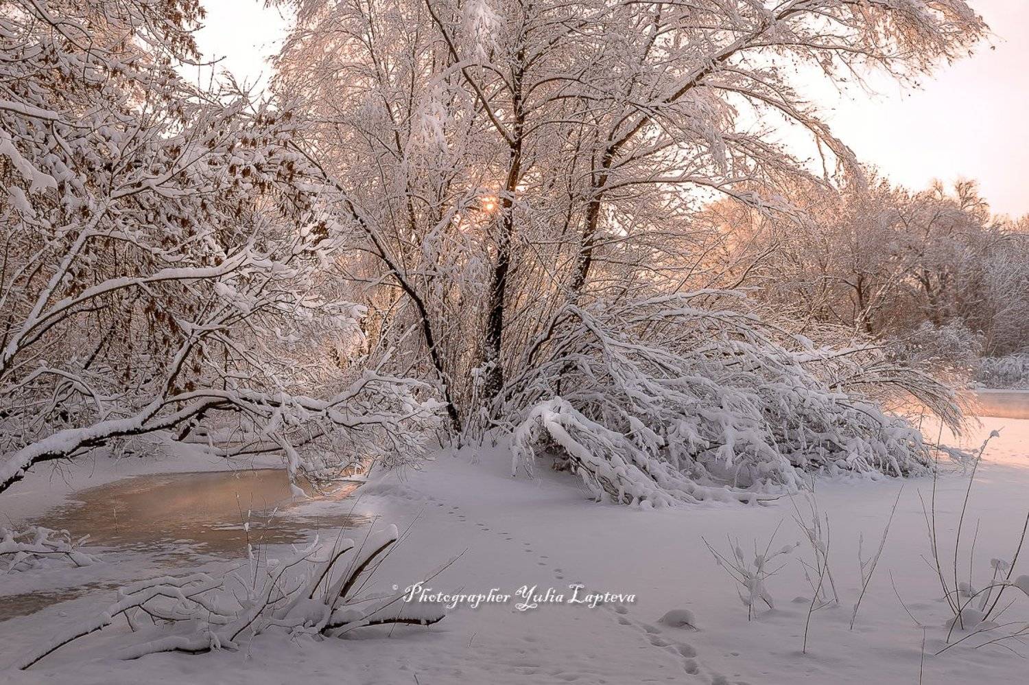 Февраль. Автор: Юлия Лаптева пейзаж,природа,утро,рассвет,зима,февраль,россия,река, Юлия Лаптева
