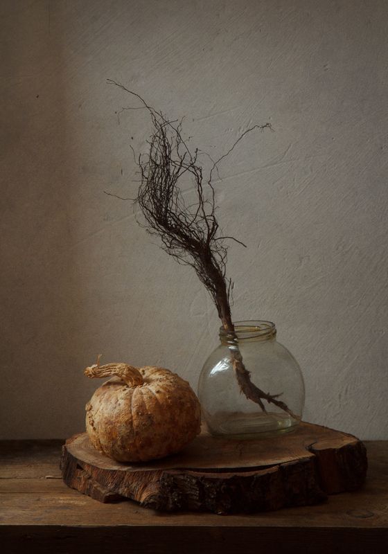 тыква параphoto preview