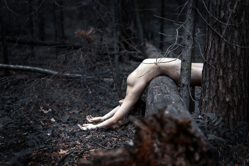 Solitude 16/3photo preview