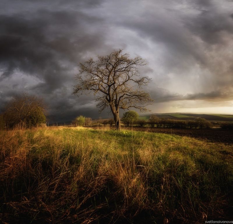 Я слышу аромат дождя...photo preview