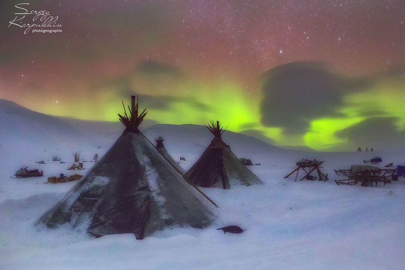полярный урал, ямал, олени, оленеводы, ненцы Ненецкая девушка, которая мечтала.photo preview