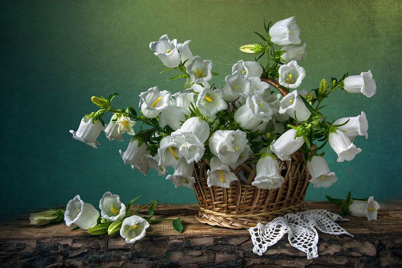 красивый натюрморт с колокольчиками,цветы,букет,корзина,художественное фото,искусство,творчество,костюченко людмила. Белые колокольчики в корзине.photo preview