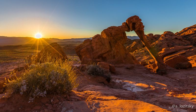 Слоник в рассветных лучах)photo preview