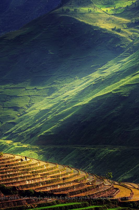 Plowing the terracesphoto preview