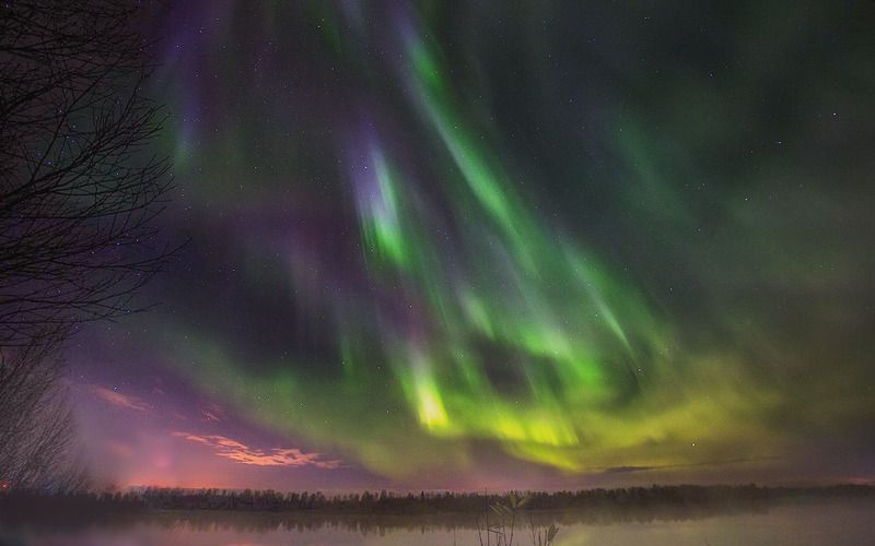 север,ночь,природа,северное сияние,зима,краски,печора,коми,north,night,nature,northern lights,winter,paint,pechora,komi republic Северное сияние фото превью